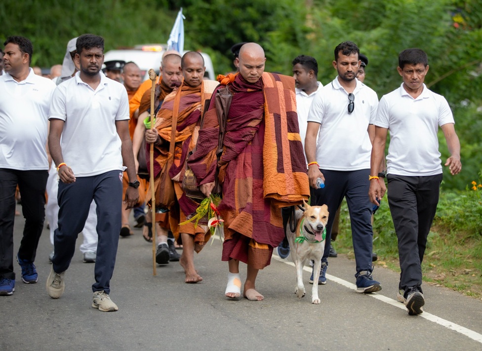 සාම පාගමන සහ සංහිඳියාවේ පොරොන්දුව 