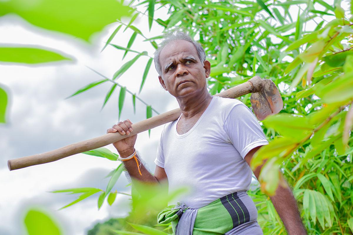 ටයිකෝට් ඇදගත්ත ආණ්ඩුවේ මැති ඇමතිවරුන්ට අද ගමේ සිටින ගොවියා අමතක වෙලා